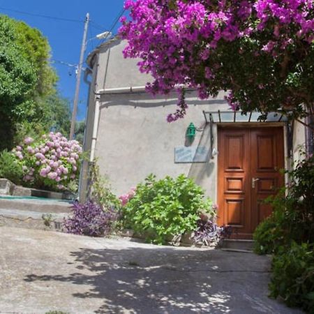 Maison Simonpietri Cagnano Exterior foto
